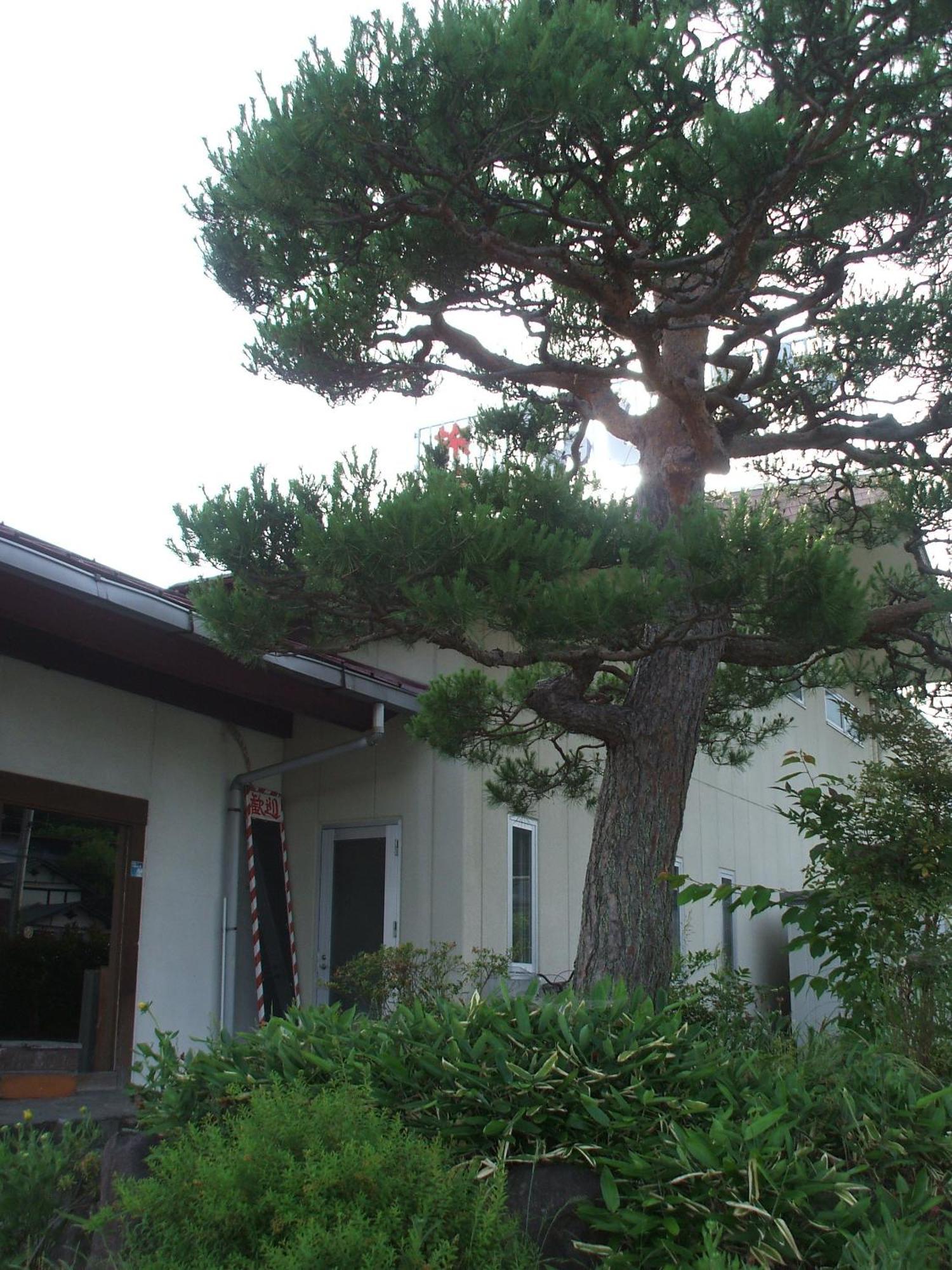 Annex Fujiya Ryokan Kaminoyama Exterior photo